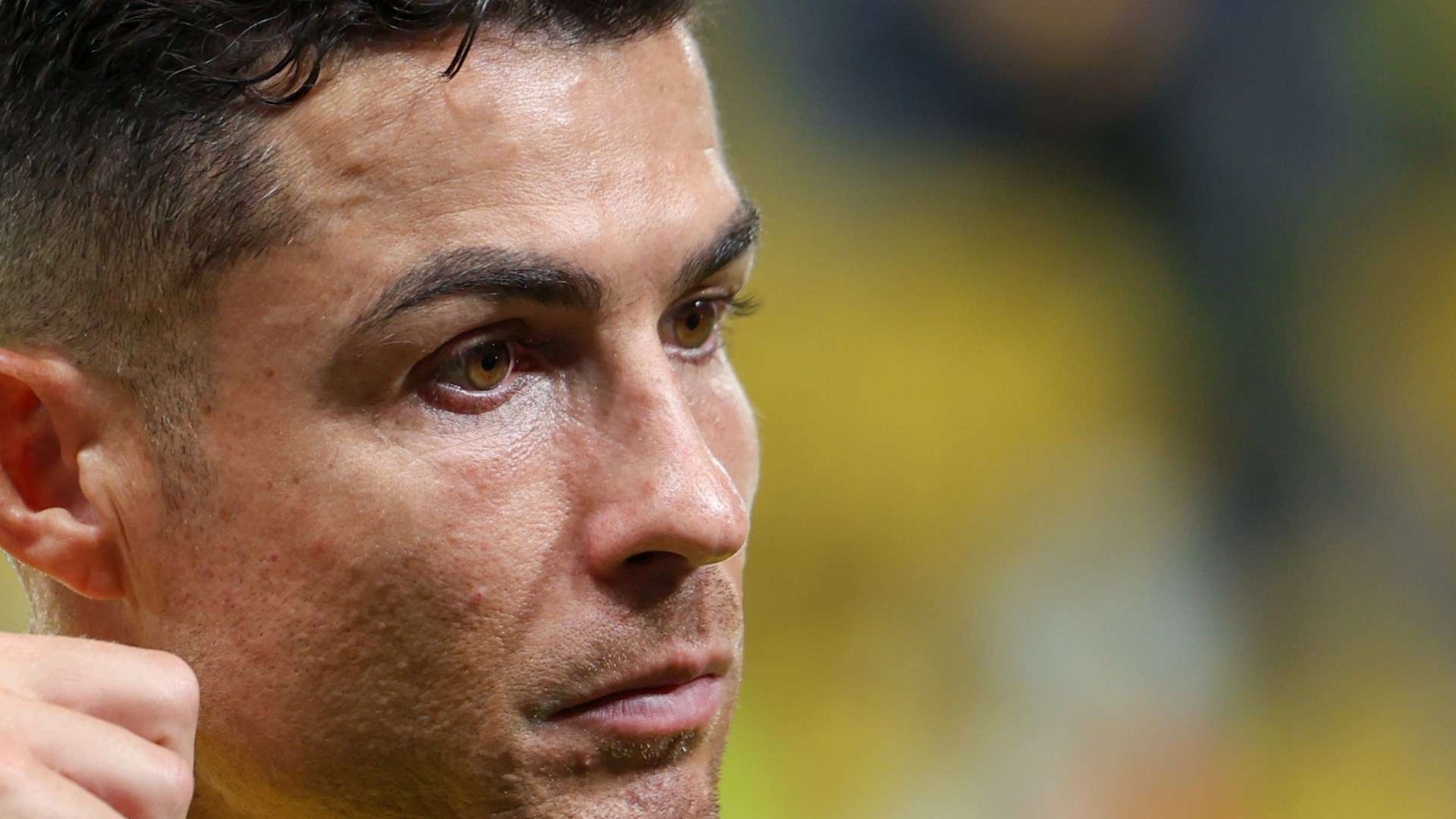 价引进拉亚 价引进拉亚